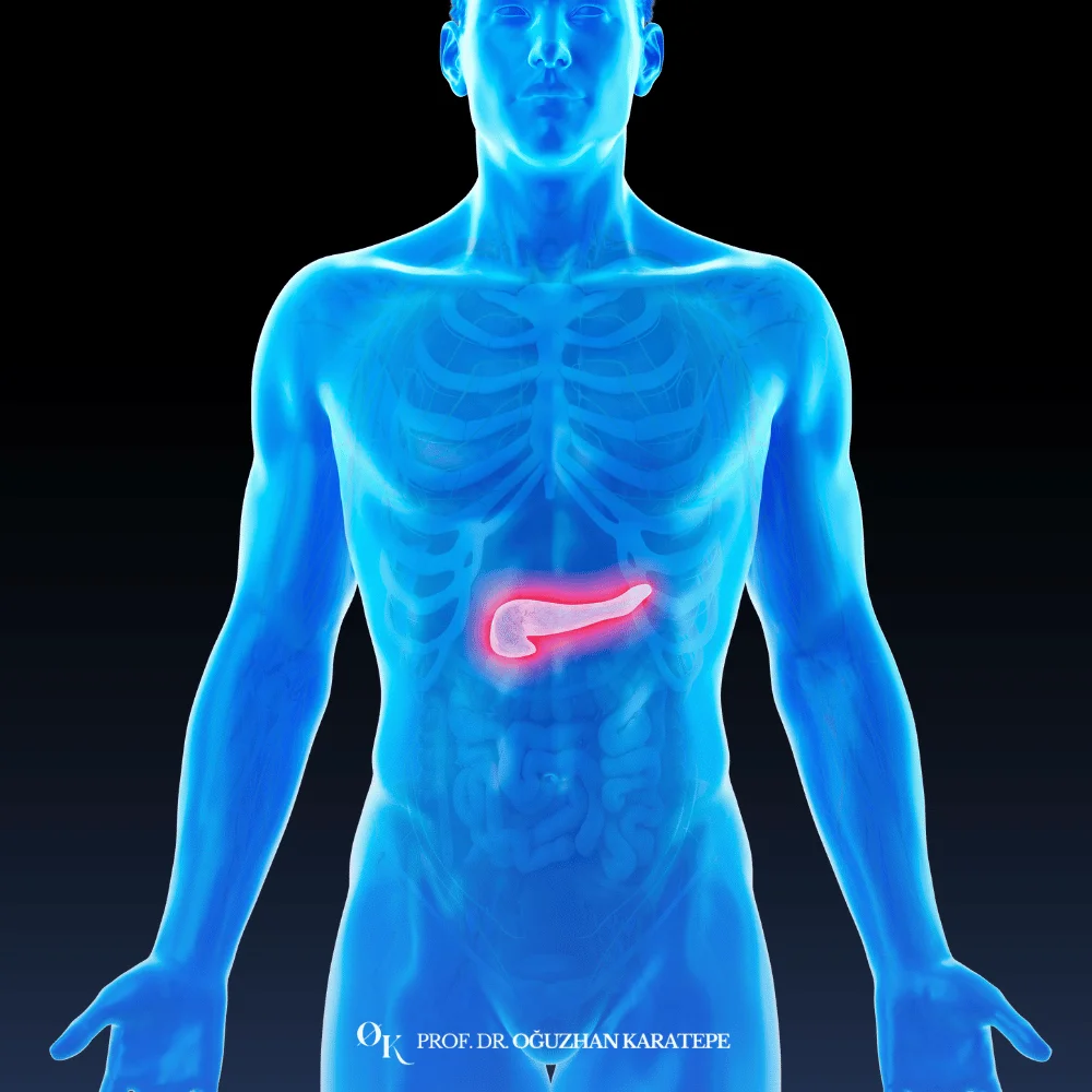 pankreas vücudumuzun neresinde