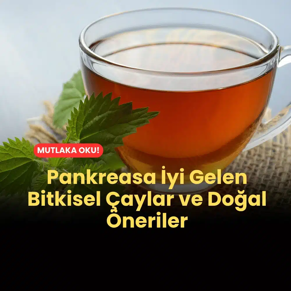 Pankreasa İyi Gelen Bitkisel Çaylar ve Doğal Öneriler