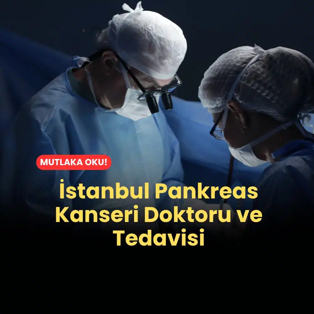 İstanbul Pankreas Kanseri Doktoru ve Tedavisi